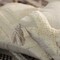 Deerlux 16" Cotton Throw Pillow Cover with White Tufted Large Lattice Pattern and Tassel Corners with Filler QI004307.LC.K - alternate 5